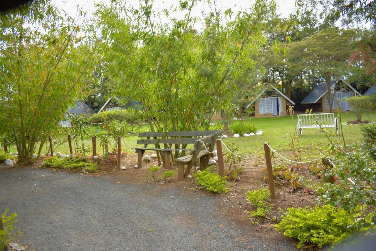 Hotel Camp Mahon Gardens Nanyuki Exteriér fotografie